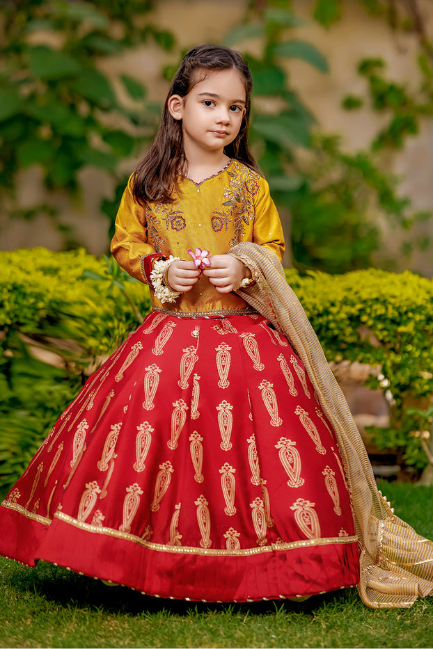 Embroidered Raw Silk Screen Print Lehenga Choli Eid Affairs L3036