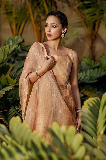 Zari Organza Luxury Saree | TITLIYAN | SR202115