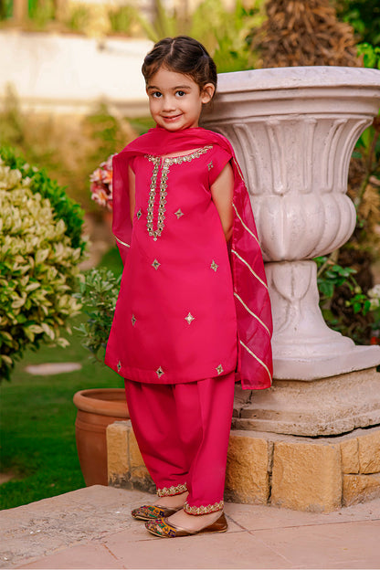 Organza Zari Mirror Embroidery 3pc Suit | Meerab Festive Edit | S3080