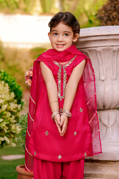 Organza Zari Mirror Embroidery 3pc Suit | Meerab Festive Edit | S3080
