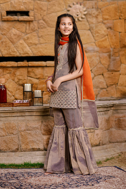 Mesuri Zari Embroidered Gharara Suit | Meerab Festive Edit | G3082