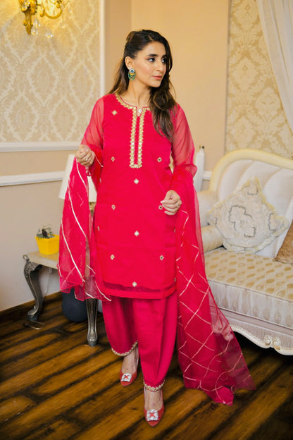 Organza Zari Mirror Embroidery 3pc Suit Mom & Me | Meerab Festive Edit | S3080 & S123080