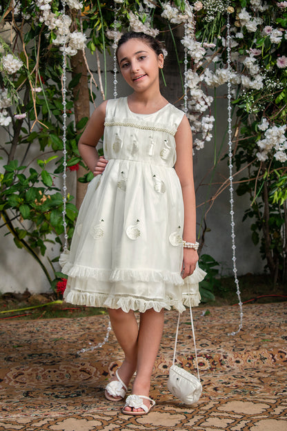 Sawn Embroidered Net Frock | New Collection | F2062