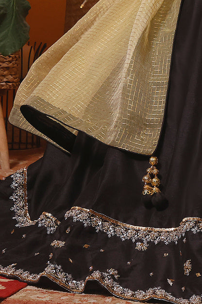 Crystal Handwork Raw Silk Lehenga Choli | MEHRU | L202160