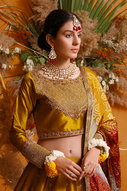 Handwork Embroidered Lychee Silk Lehenga Choli | MEHRU | L202161