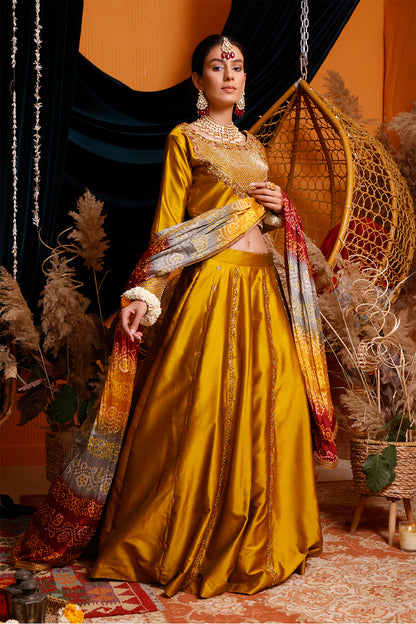 Handwork Embroidered Lychee Silk Lehenga Choli | MEHRU | L202161