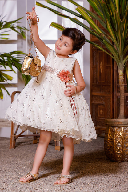 Self Embellished Sequins Frock | KAIRA | F2140