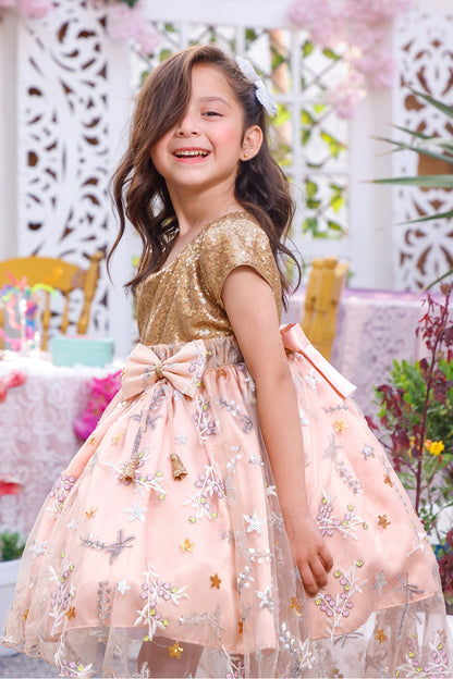 Embroidered Flare Sequins Skirt Style Frock | KAIRA | F2146