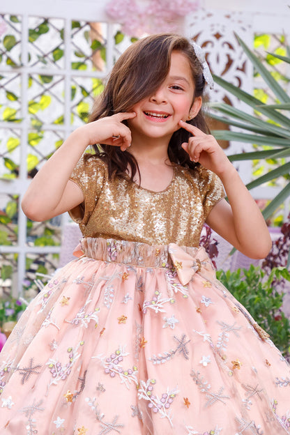 Embroidered Flare Sequins Skirt Style Frock | KAIRA | F2146
