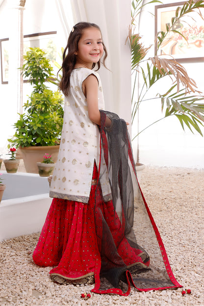 High Contrast Lorex Organza Gharara Suit | KAIRA | G3112