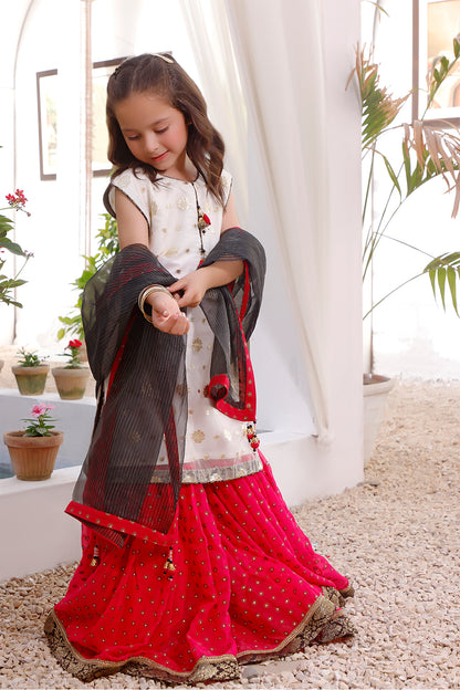 High Contrast Lorex Organza Gharara Suit | KAIRA | G3112