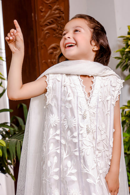 Kalidaar Embroidered Organza 3pc Suit | KAIRA | S3108