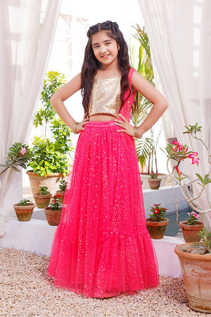 Sequins & Glitter Net Lehenga Choli | KAIRA | L3105