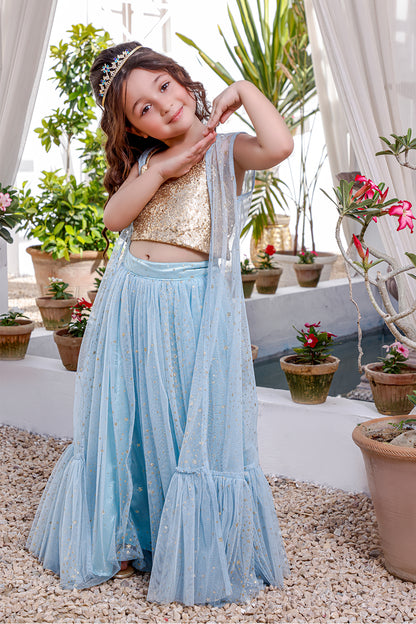 Sequins & Glitter Net Lehenga Choli | KAIRA | L3105