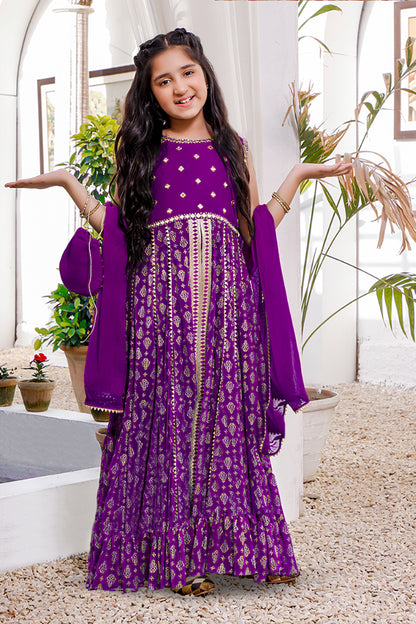 Mirror Embroidered Chiffon 3pc Suit | KAIRA | S3113