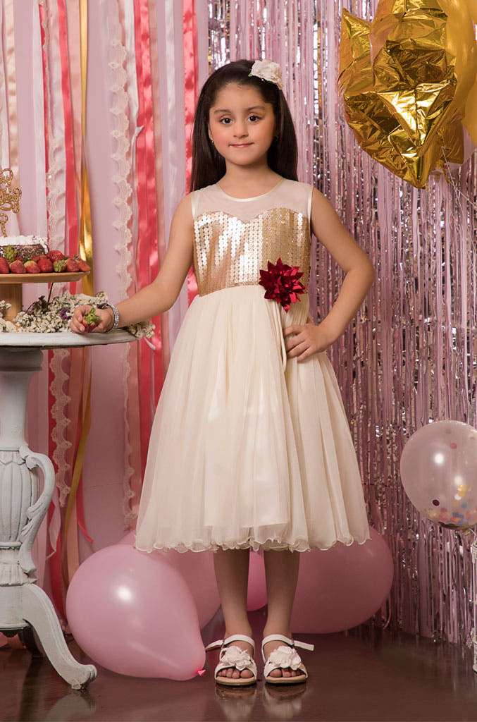 SANA'S net frock Pakistan party wear