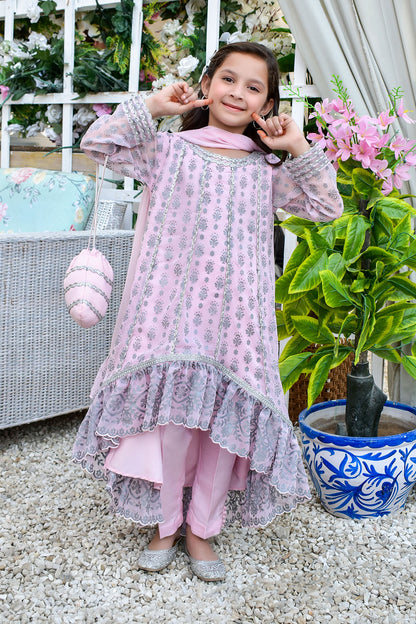 Screen Printed Chiffon 3pc Suit | TEHWAAR | S3103