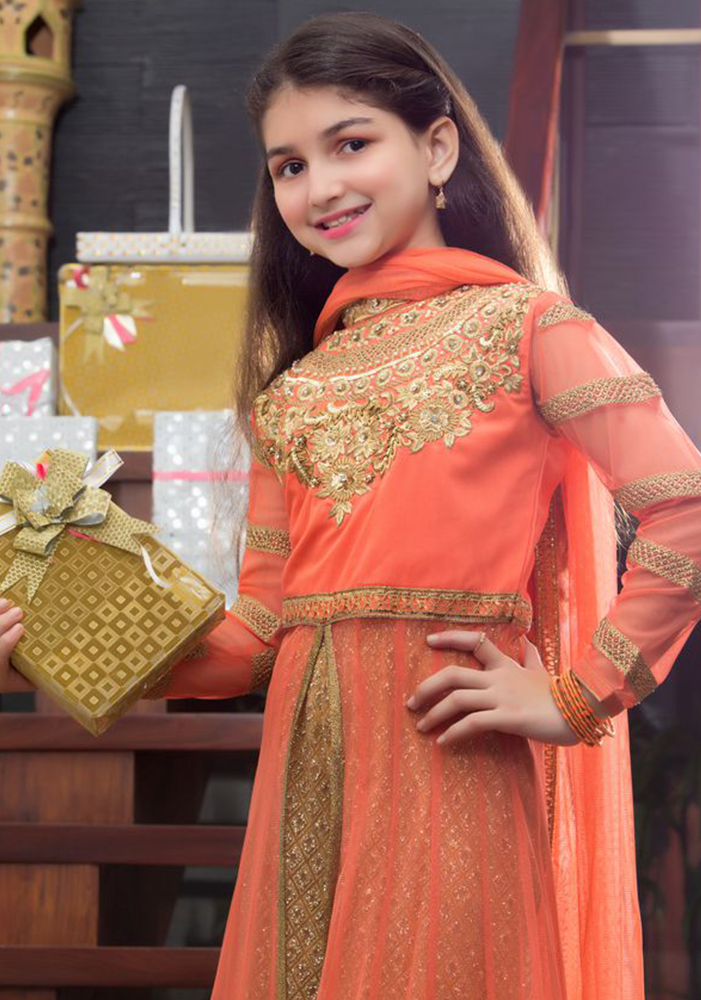 Embroidered Ethnic Sharara Suit | GFC16 | P633 - SANA'S