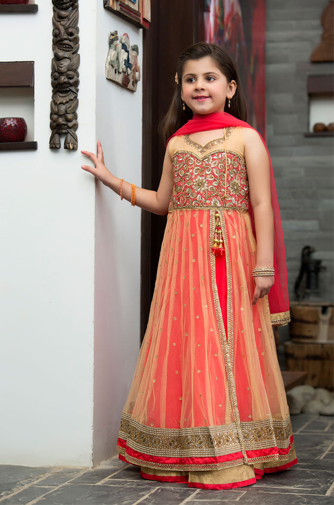 Embroidered Ethnic Sharara Suit | GFC16 | S602 - SANA'S