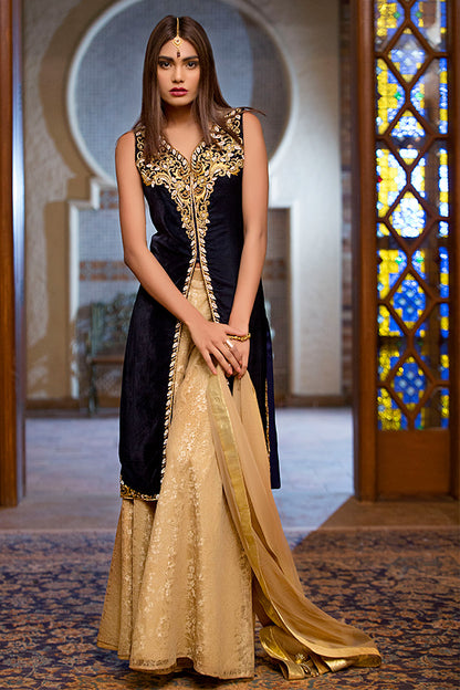 Embroidered Velvet Sharara | FC16 | 12269 - SANA'S