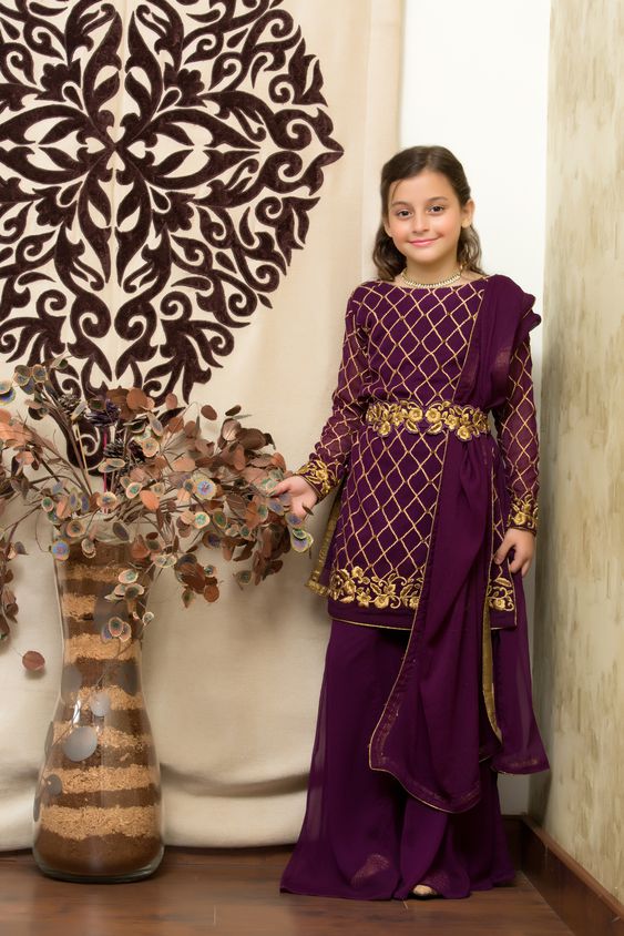 Embroidered Ethnic Gharara Suit | GFC16 | P640 - SANA'S