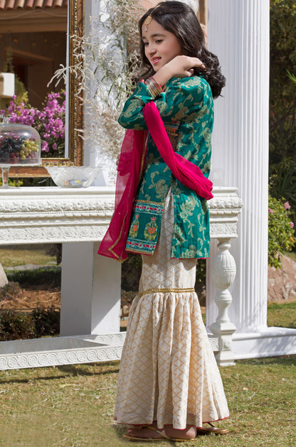 Embroidered Cotton Net Gharara Suit | WC1718 | G666 - SANA'S