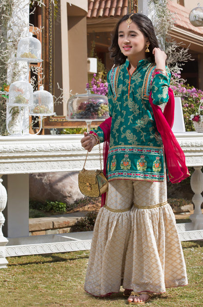Embroidered Cotton Net Gharara Suit | WC1718 | G666 - SANA'S