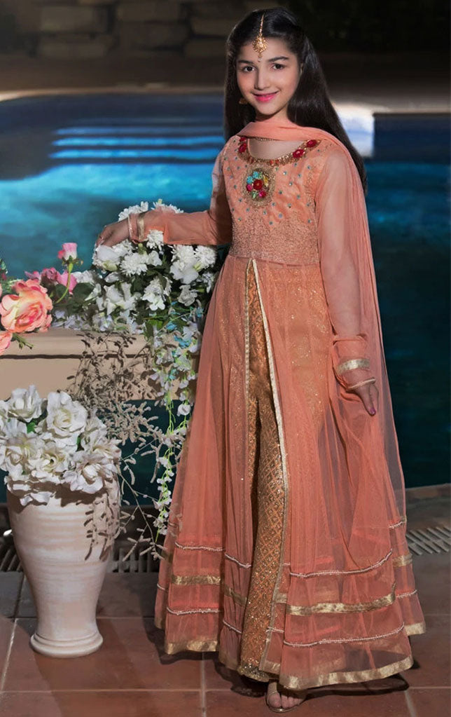 Handwork Embroidered Net Plazo Suit | WC1718 | P673 - SANA'S