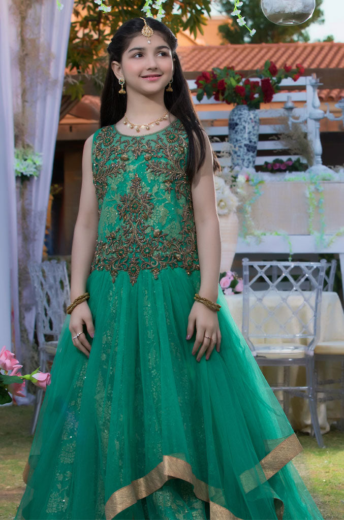 Antique Stone Embroidered Net Maxi | WC1718 | M684 - SANA'S
