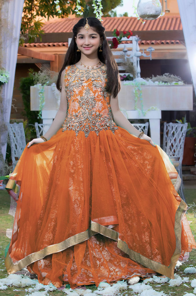 Antique Stone Embroidered Net Maxi | WC1718 | M684 - SANA'S