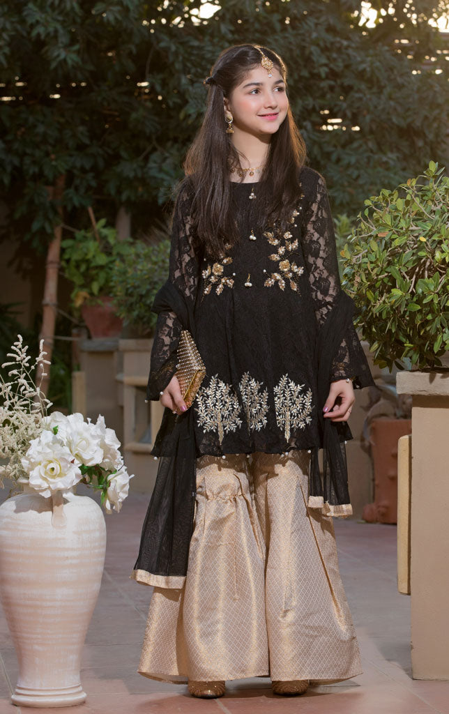 Embroidered Chicken Net Gharara Suit | WC1718 | G686 - SANA'S
