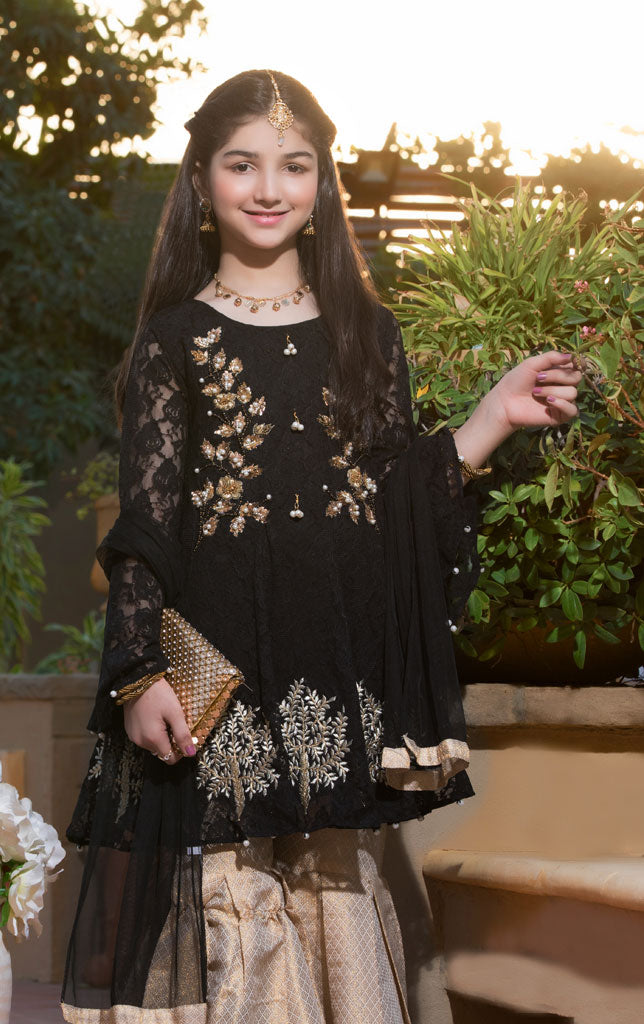 Embroidered Chicken Net Gharara Suit | WC1718 | G686 - SANA'S