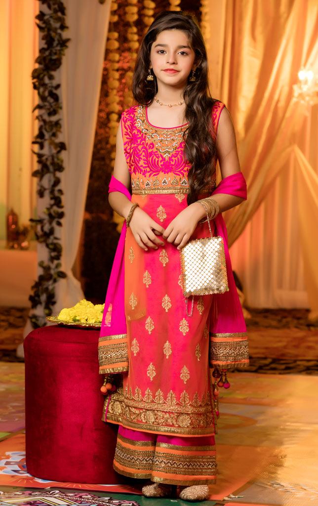 Handworks Embroidered Net Sharara Style Plazo | FW18 | P815 - SANA'S