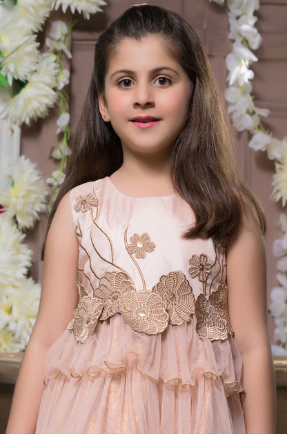 Embroidered Floral Taffeta Net Frock | SS18 | F964