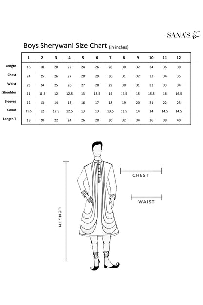 Embroidered Velvet Sherwani Suit | WC1718 | B513 - SANA'S