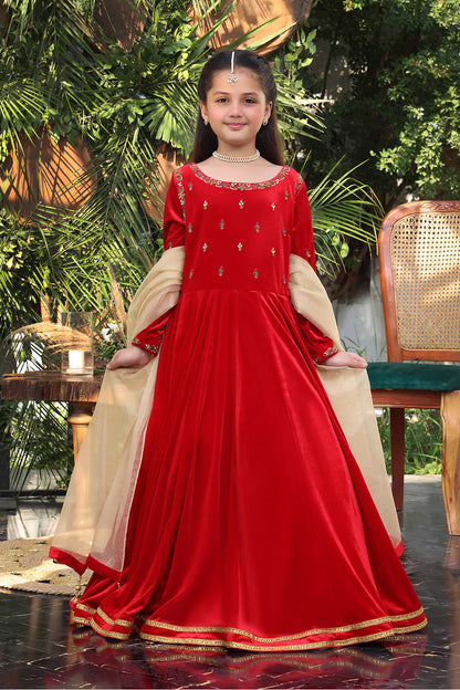 Handwork Embroidered Solid Velvet Maxi | ZEENAT | M3137