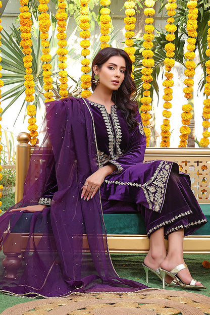 Handwork Zari Embroidered Velvet 3pc Suit | ZEENAT | S202223
